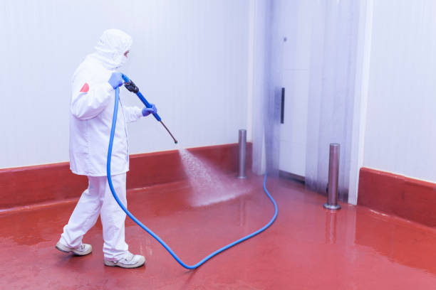 Best Pre-Holiday Cleaning  in Princeton Junction, NJ